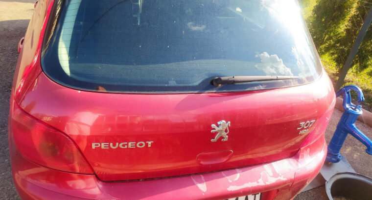 Peugeot 307 2.0 HDI