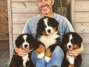 Bernesse Mountain Puppies na prodaju