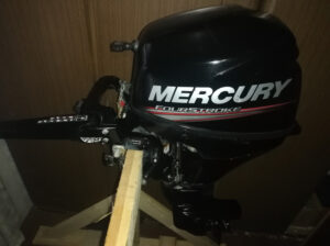Mercury 9.9 4t