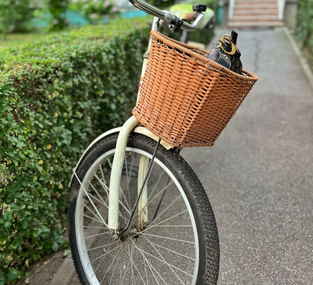 Zenski gradski bicikl