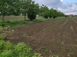 Poljoprivredno zemljište – Tenja