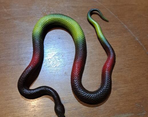Gumena zmija VIII