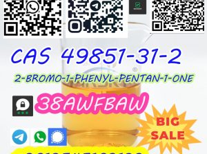 Factory Supply High Purity 2-Bromo-1-Phenyl-1-Pentan one CAS 49851-31-2
