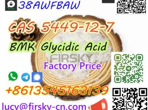 New BMK Glycidic Acid (sodium salt) Cas 5449-12-7 with High Quality