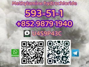 cas 593-51-1 Hot selling High Quality Factory Supply Methylamine hydrochloride