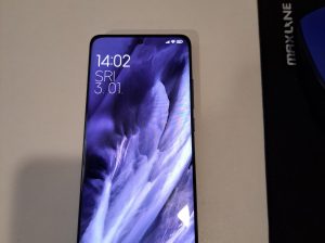 Xiaomi MI 12 Gray 8GB/256
