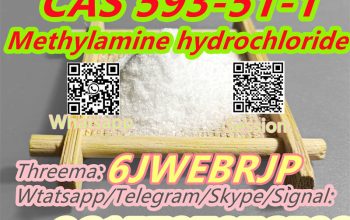 CAS 593-51-1 Methylamine hydrochloride Factory Supply High Purity 100% Safe Delivery