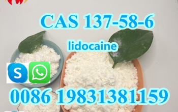 wholesale low price Lidocaine