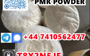 PMK ethyl glycidate 28578-16-7 PMK Ethyl Glycidate Powder