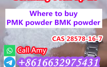 CAS 28578-16-7 NEW PMK ethyl glycidate powder