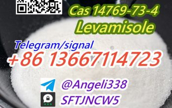 Cas 14769-73-4 Levamisole Threema: SFTJNCW5