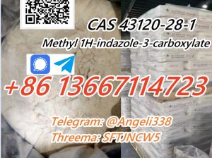 CAS 43120-28-1 Methyl 1H-indazole-3-carboxylate Threema: SFTJNCW5