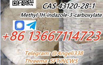 CAS 43120-28-1 Methyl 1H-indazole-3-carboxylate Threema: SFTJNCW5