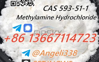 CAS 593-51-1 Methylamine Hydrochloride(hcl) Threema: SFTJNCW5