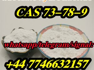 CAS 73-78-9 Lidocaine Hydrochloride Powder Factory