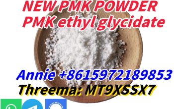 Top Quality Pmk Ethyl Glycidate Powder Oil 100% Safe Shipping CAS 28578-16-7