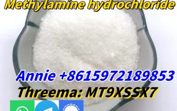 CAS 593-51-1 Methylamine hydrochloride LT-S9151 good price with high qualtiy