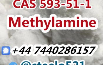 Hot in EU Methylamine hcl cas 593-51-1 tele@steelo521