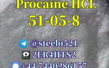 Procaine HCL CAS 51-05-8 Procaine Hydrochloride