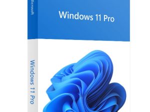 Buy Windows 11 Pro Key