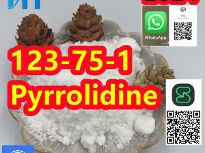 Australia warehouse CAS 123-75-1 Pyrrolidine PMK powder