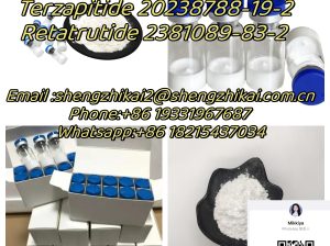 Manufacturer 99% Purity GLP-1 Tirzepatide powder cas 2023788-19-2 with best price