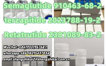 GLP-1 / GIP Retatrutide peptide 5mg 10mg cas 2381089-83-2 for wight loss
